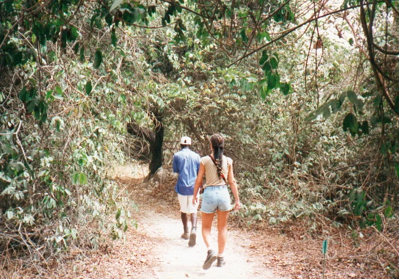 Guide on a shaded path at Abuko Nature Reserve