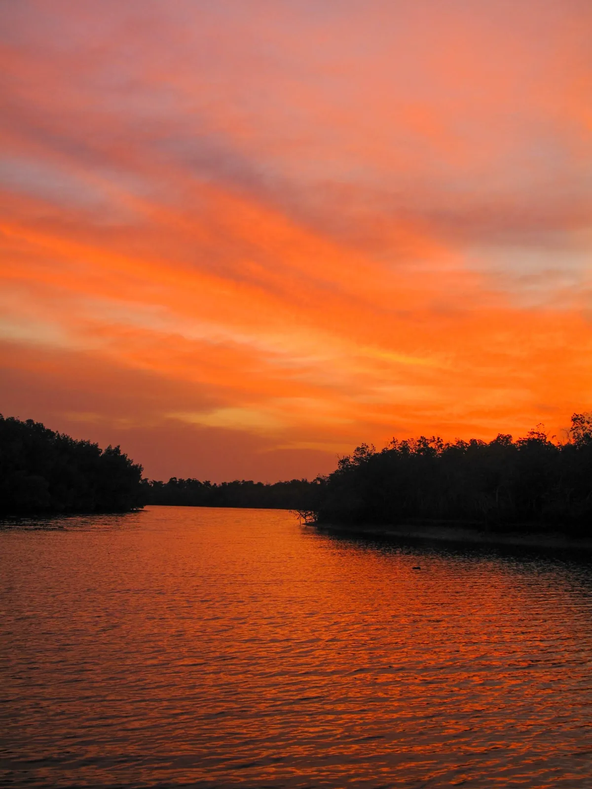 Sunrise over mangroves at Makasutu Culture Forest