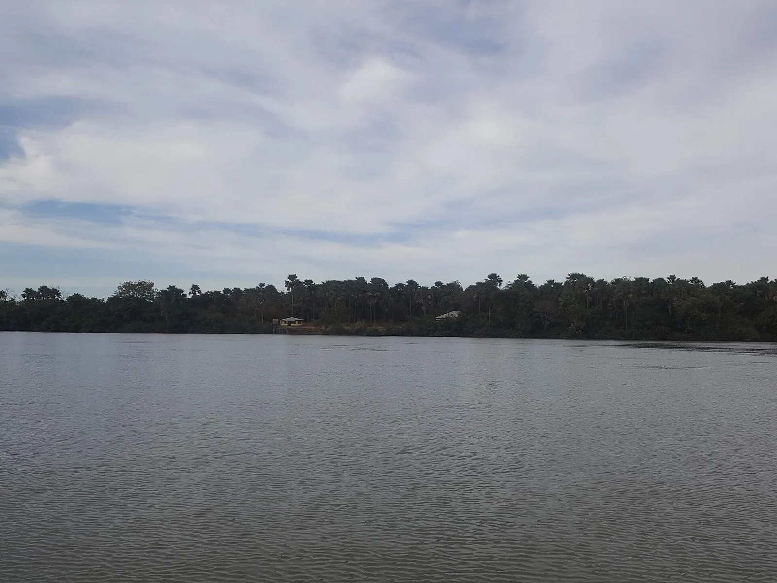 Riverbank on the River Gambia near Janjanbureh