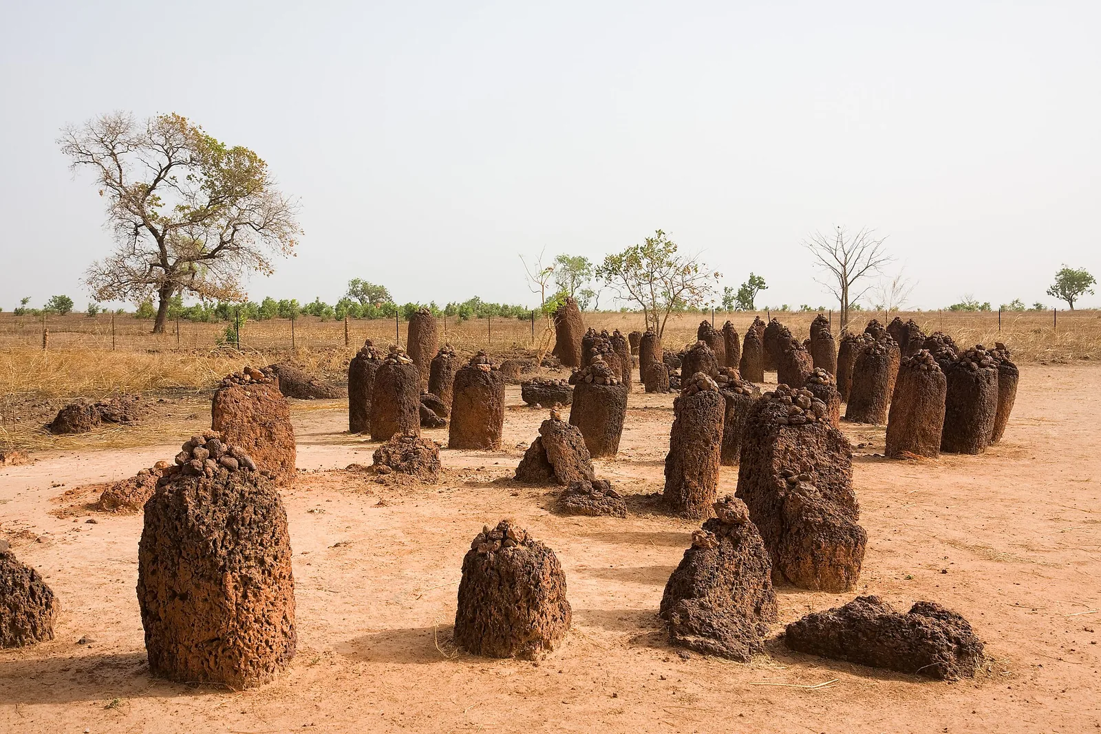 Ancient stones at the Wassu Stone Circles